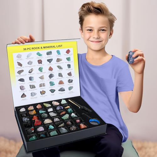 BTYCityMao Rock Collection for Kids 36pc Cool Rocks and Gems Stones Crystals Kit Rocks and Minerals Science Kit with Leaning Guide Earth Science Activity Kit Rock Collection Box for Kids - Image 1