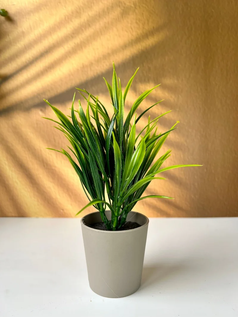 Mottogo Decorative Artificial Plant 20 cm Home | Office | Table Decor