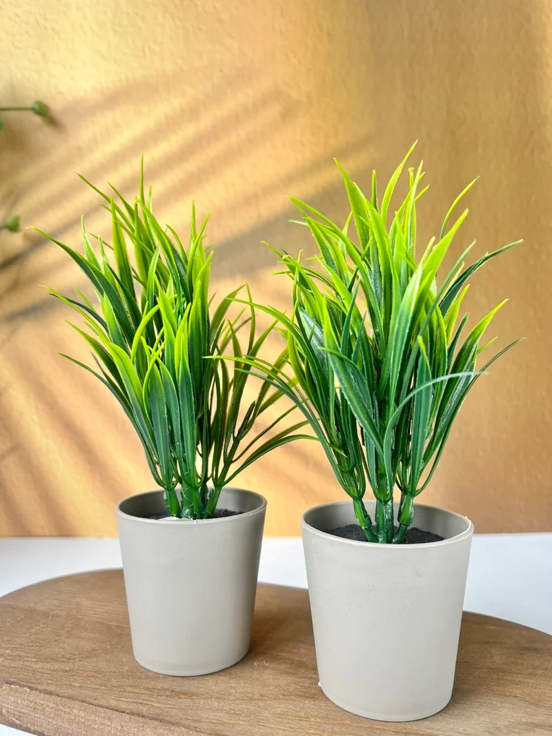 Mottogo Decorative Artificial Plant 20 cm Home | Office | Table Decor