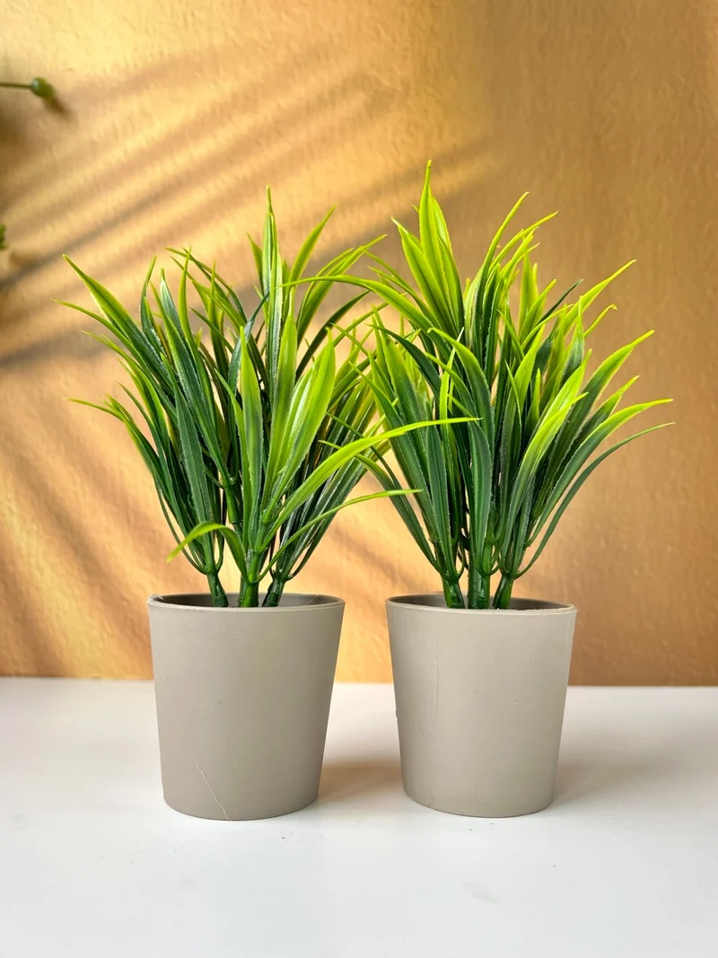 Mottogo Decorative Artificial Plant 20 cm Home | Office | Table Decor