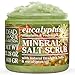 Dead Sea Collection Eucalyptus Salt Scrub â€“ Exfoliating Body Scrub for Women â€“ Moisturizing and Nourishing Skin â€“ with Pure Oils and Dead Sea Minerals (23.28 Oz) - Image 2