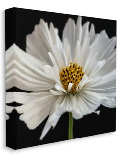 Stupell Industries Stupell Industries Luminous White Daisy Fine Floral Details Canvas Dianne Poinski Wall Art, 17 x 17  - Image 1