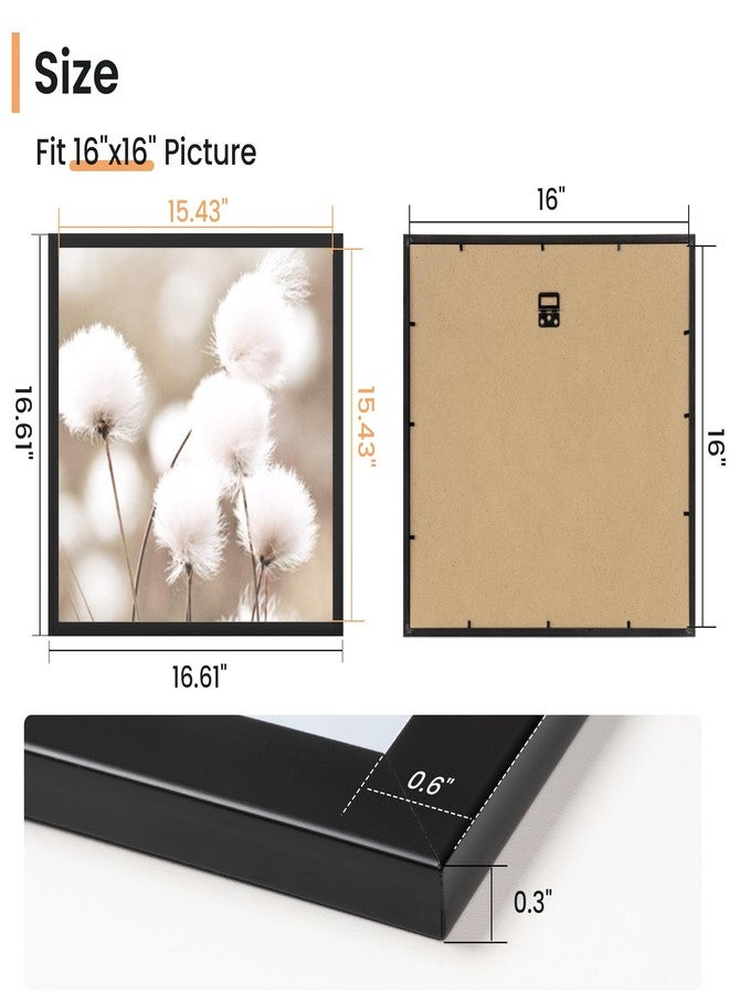 Venusmiles 16x16 inch Poster Frame, 16x16 Picture Frames Matted for 12x12 Photos, Artworks, Prints, Puzzle - Vertical and Horizontal Display - Wall Hanging PVC Photo Frame - Black, 5 Pack - Image 4