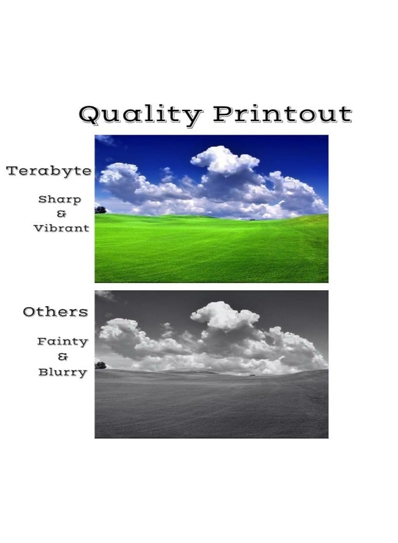 Terabyte 35A Toner Cartridge for Laserjet P1005 and P1006 - Image 2