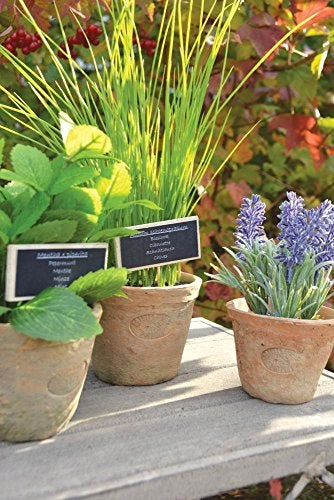 Esschert Design Artificial Herb Plant, Chives, Small - Image 4