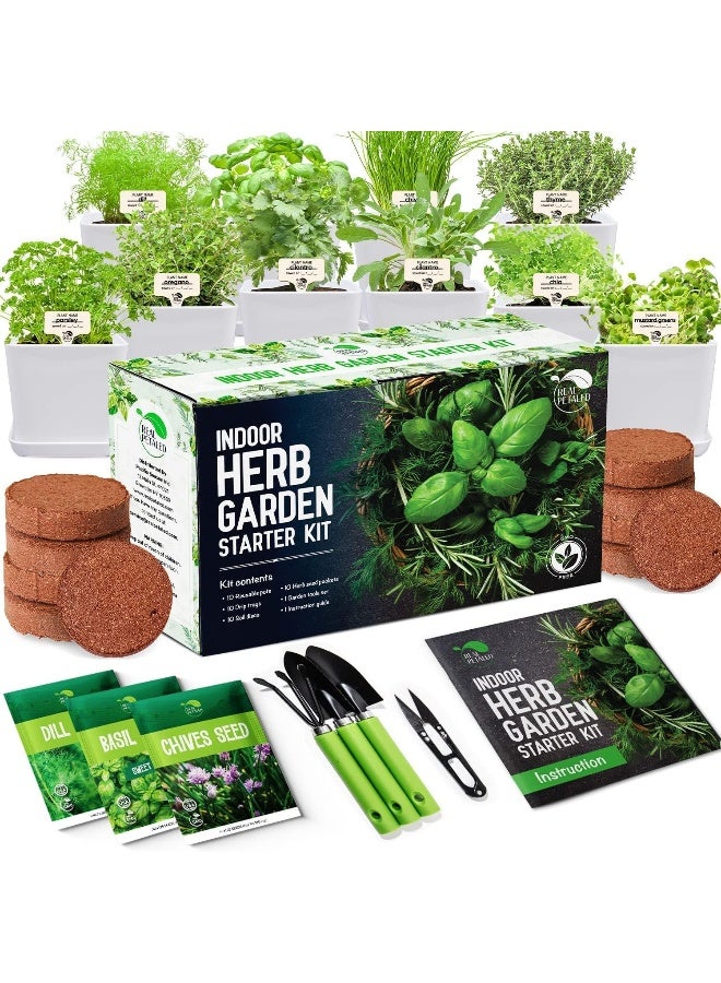 Generic Indoor Herb Garden Kit 10 Non-GMO Herbs- Window Herb Garden Kit with 10 Reusable Pots, Herbs, Drip Trays, Soil Discs - Window Plant Growing Kit - Kitchen Herb Garden Kit Herb Garden Gift  - Image 3