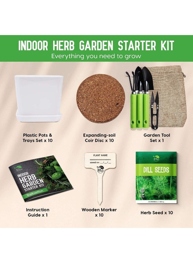 Generic Indoor Herb Garden Kit 10 Non-GMO Herbs- Window Herb Garden Kit with 10 Reusable Pots, Herbs, Drip Trays, Soil Discs - Window Plant Growing Kit - Kitchen Herb Garden Kit Herb Garden Gift  - Image 2