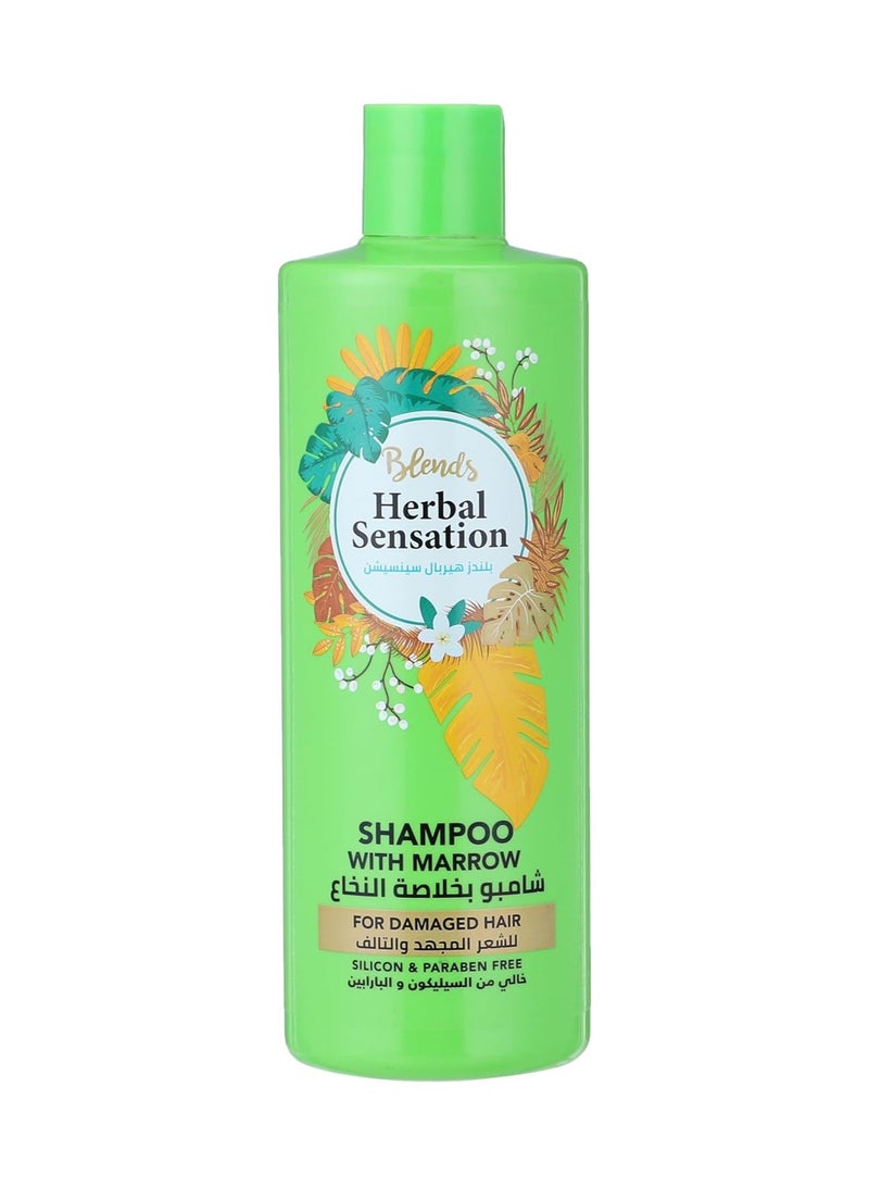 Blends Herbal Sensation Shampoo With Marrow 600 ML