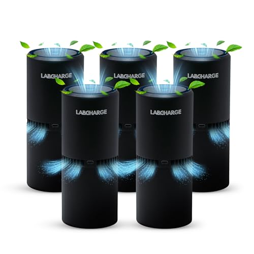 Lab Charge LabCharge Small Ionic Air Purifier for Home Bedroom Silent HEPA Filter Covers 250 Sq Ft For Pet Hair Smoke Dust Odors Dander Compact Black Design Pack of 5 - Image 1
