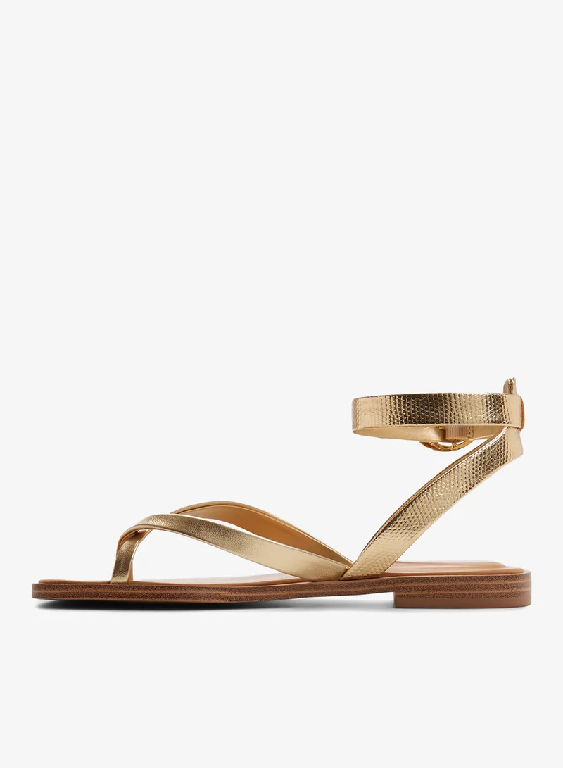 ALDO Daressi Ankle Strap Flat Sandals