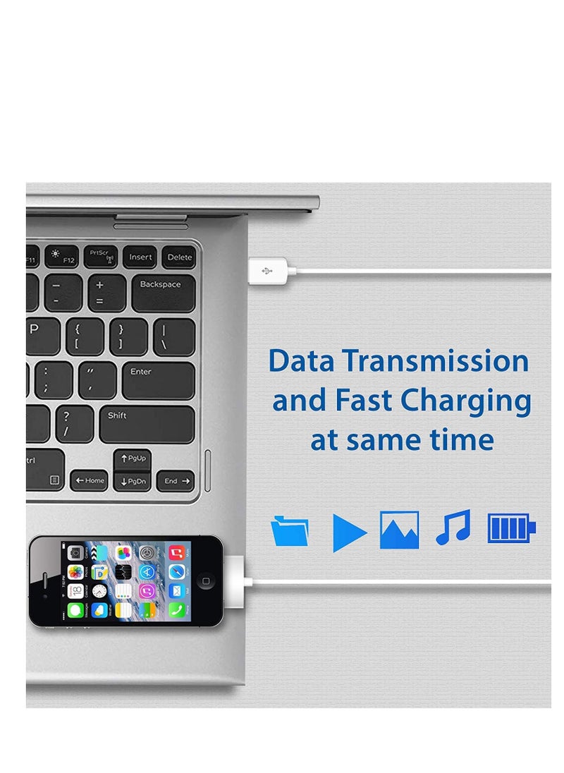 إن تك - NTECH (عبوتان) كابل بيانات شحن ومزامنة USB لأجهزة i-Phone 4 / 4S / 3G / 3GS) iPad 1/2/3 / iPod) ، سلك شاحن 30 دبوس - (1M أبيض) - Image 1