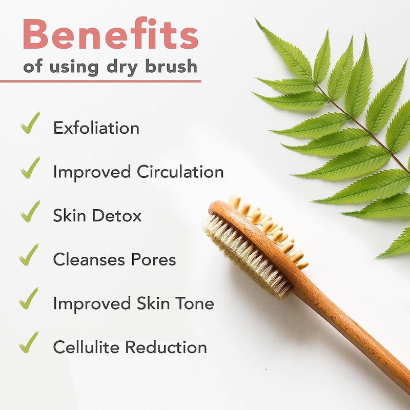 Amzgear Dry Brushing Body Brush Long Handled Exfoliating Brush Body Brush Dry Brush for Cellulite and Lymphatic Drainage Massager Body Scrubber Shower Brush for Back Skin 1 Pk pack of 1 - Image 3