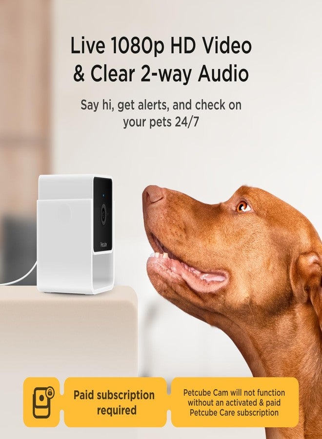 Petcube Cam and Care Coverage Subscription | Indoor Wi-Fi Pet and Security Camera with Phone App, Cats and Dogs Monitor with 2-Way Audio and Video, Night Vision - Image 4
