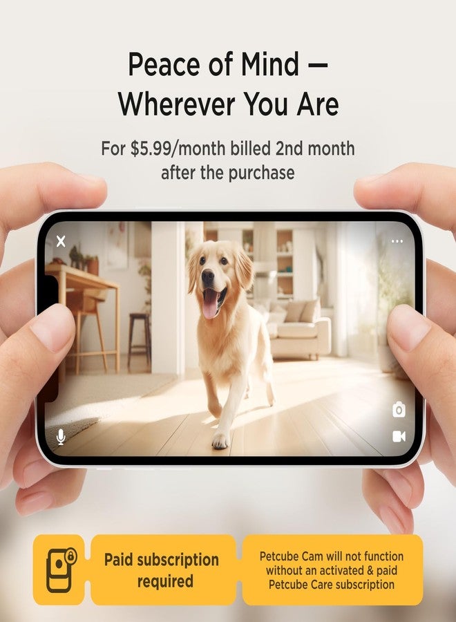 Petcube Cam and Care Coverage Subscription | Indoor Wi-Fi Pet and Security Camera with Phone App, Cats and Dogs Monitor with 2-Way Audio and Video, Night Vision - Image 2