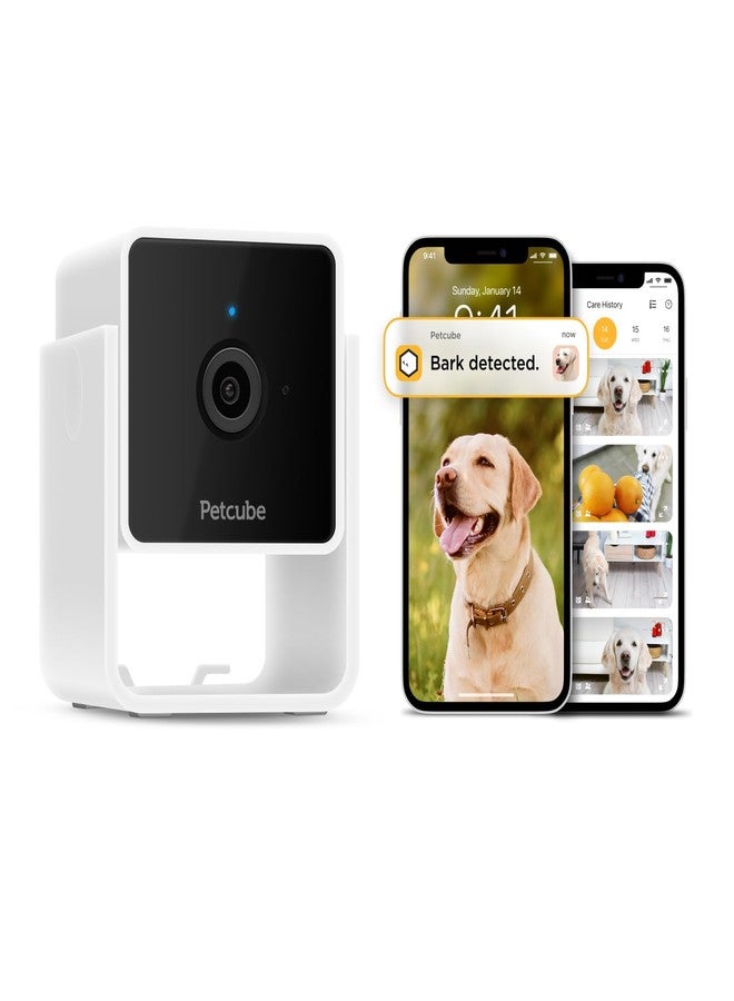 Petcube Cam and Care Coverage Subscription | Indoor Wi-Fi Pet and Security Camera with Phone App, Cats and Dogs Monitor with 2-Way Audio and Video, Night Vision - Image 1