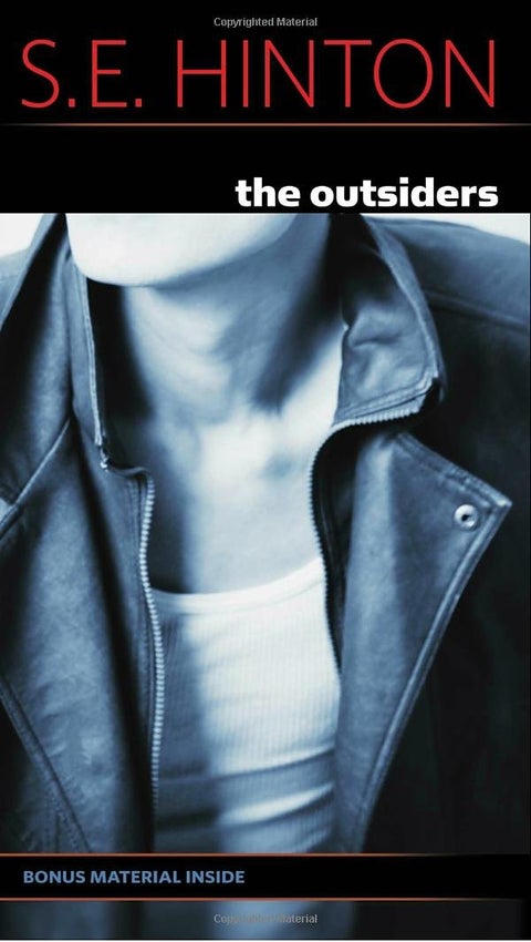 The Outsiders Paperback English by S. E. Hinton - 32151