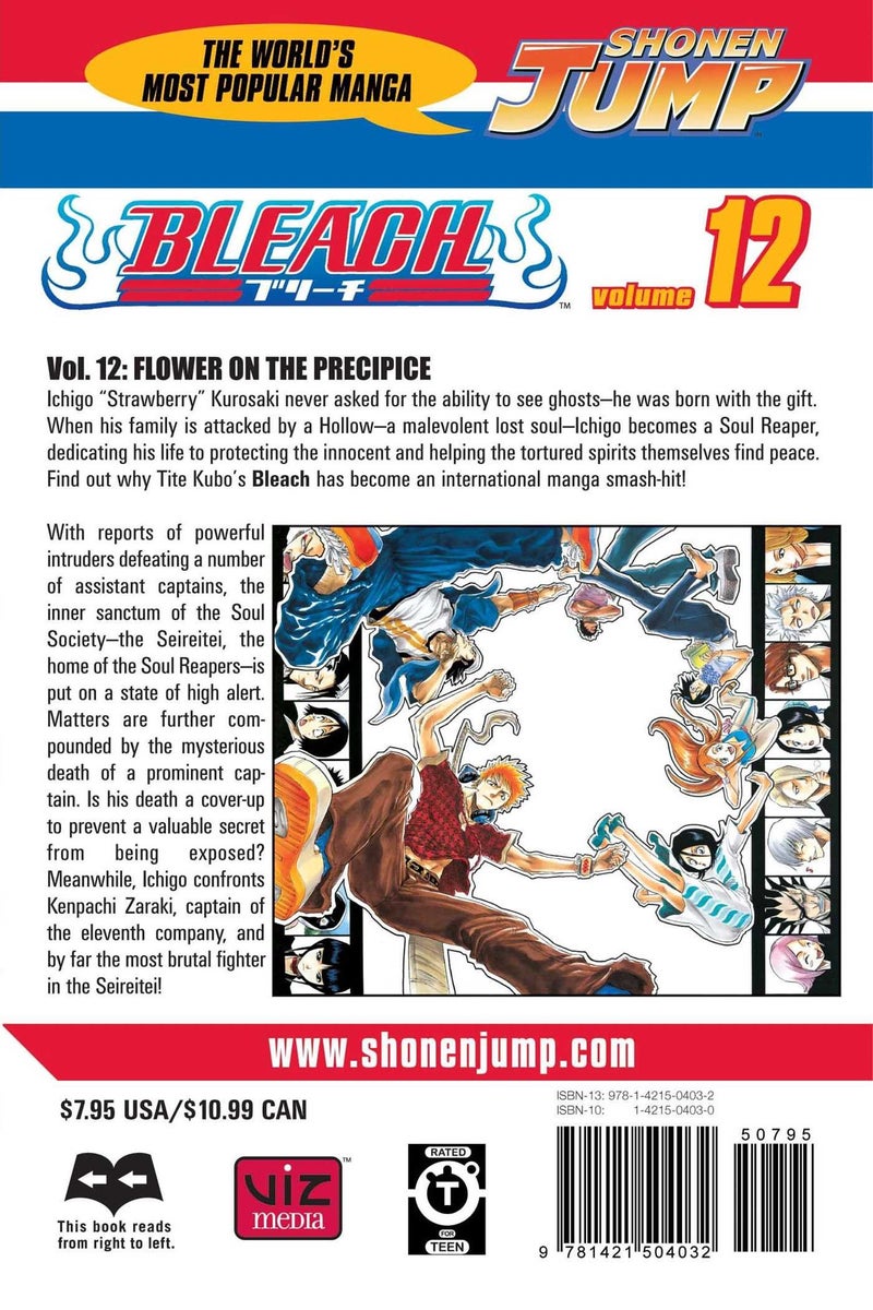 Bleach printed_book_paperback english  - Image 2