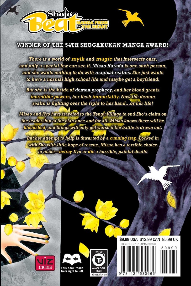 Black Bird, Vol. 6 - Paperback English by Kanoko Sakurakoji - 40456 - Image 2