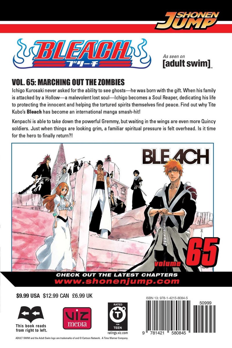 null - Bleach, Vol. 65 Paperback English by Tite Kubo - 42327 - Image 1