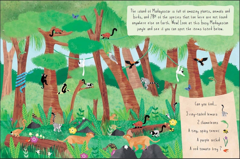 Let's Explore... Jungle printed_book_paperback english - 42416 - Image 3