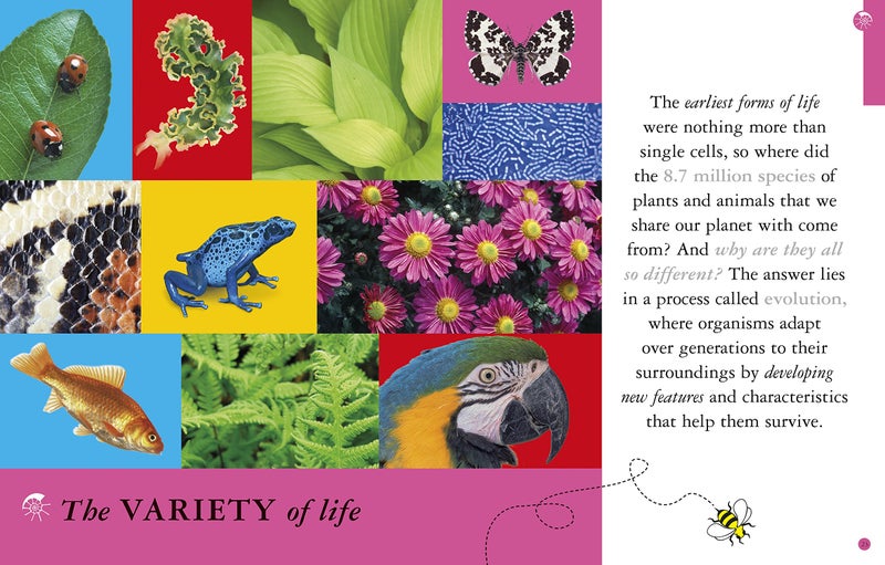 All About Biology Paperback English by Robert Winston - 42492 - Image 2