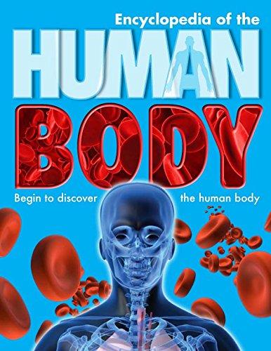 Encyclopedia of the Human Body Hardcover English by Parragon Books - 40781