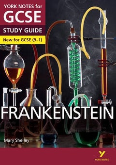 Frankenstein Paperback English by Mr Alexander Fairbairn-Dixon - 42102 