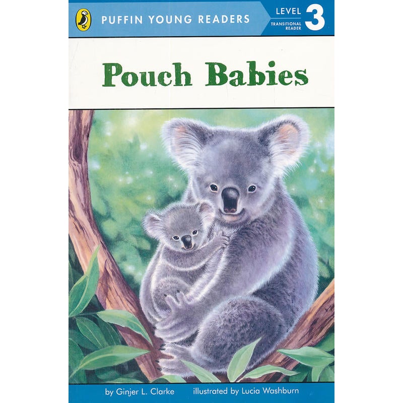 Pouch Babies printed_book_paperback english
