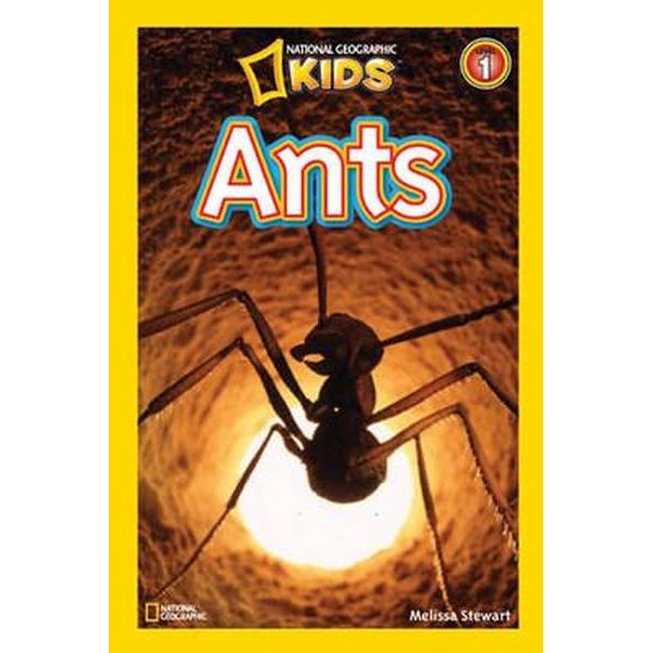 Ants Paperback English by Melissa Stewart - 40190 