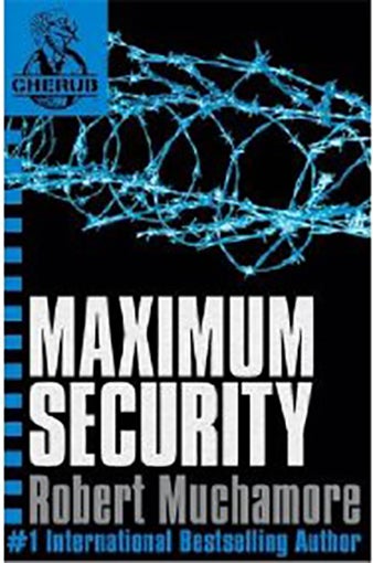 Maximum Security printed_book_paperback english - 38456