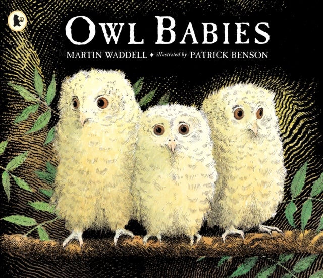 Owl Babies Paperback English by Martin Waddell - 34555 - v1502138328/N11124156A_1