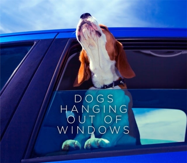Dogs Hanging Out of Windows - Hardcover English by Various - 14/10/2014 