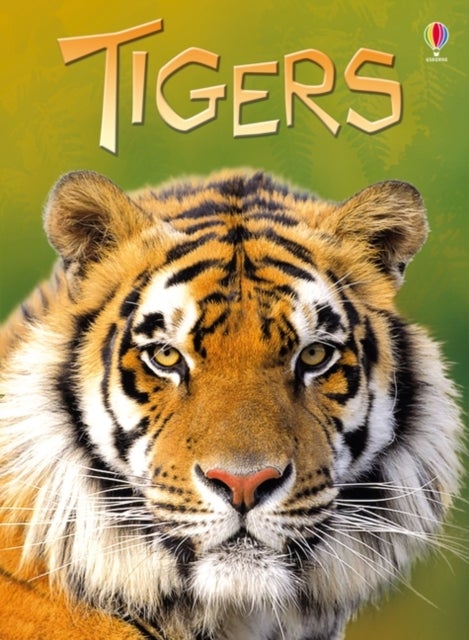 Tigers printed_book_hardback english - 01/06/2012