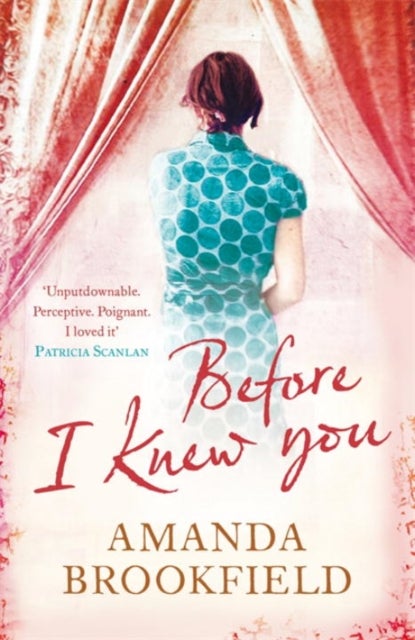 Before I Knew You - Paperback English by Amanda Brookfield - 26/04/2011 