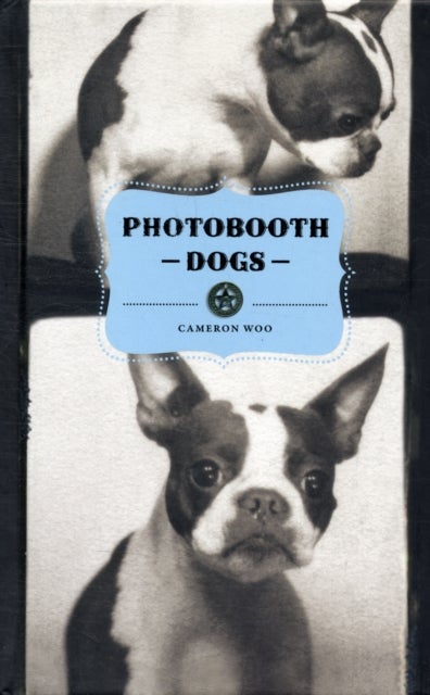 Photobooth Dogs - Hardcover English by Cameron Woo - 18/08/2010 