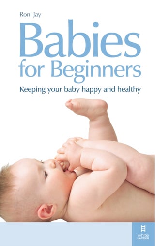 Babies for Beginners printed_book_paperback english - 6/7/2009 - v1502138886/N11169118A_1