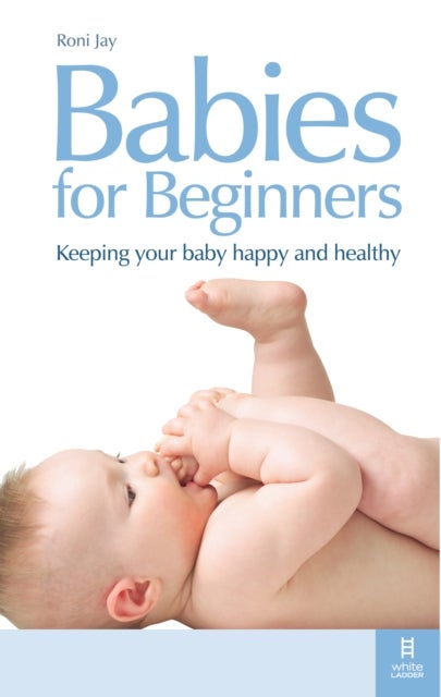 Babies for Beginners printed_book_paperback english - 6/7/2009