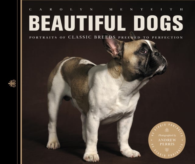 Beautiful Dogs - Paperback English by Carolyn Menteith - 31/10/2013
