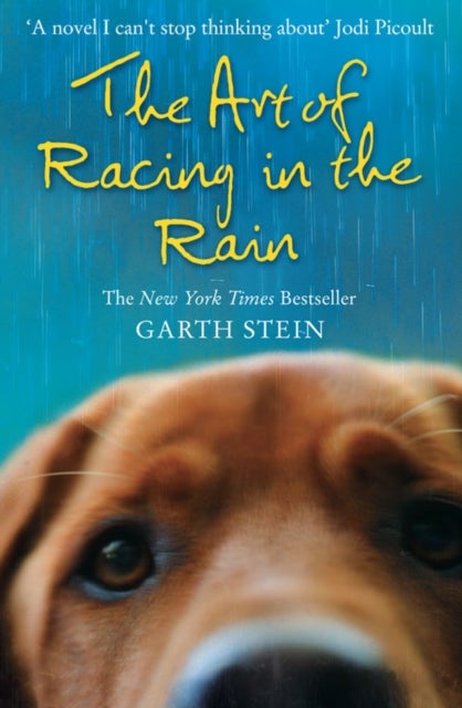 Art of Racing in the Rain printed_book_paperback english - 11/3/2009