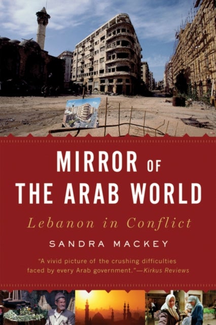 Mirror of the Arab World - Paperback English by Sandra Mackey - 16/03/2009 