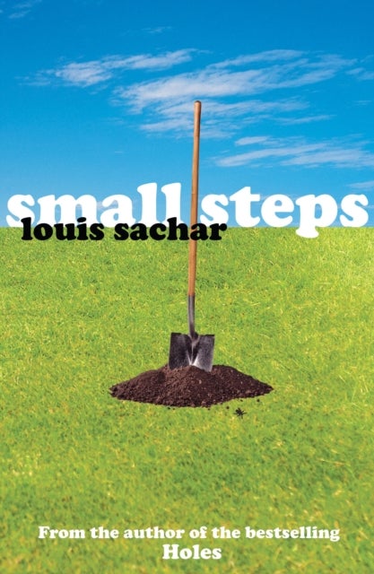 Small Steps printed_book_paperback english - 31/07/2007