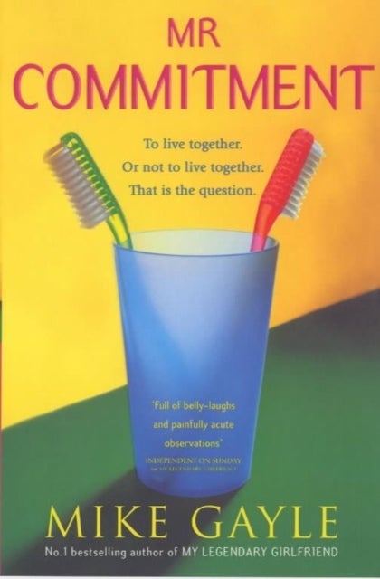 Mr. Commitment - Paperback English by Mike Gayle - 36587