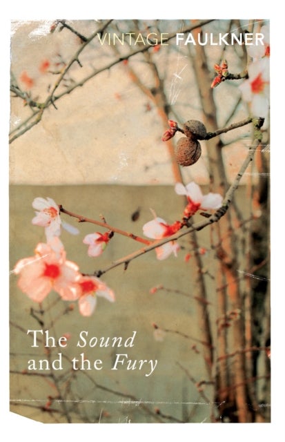 The Sound And The Fury printed_book_paperback english - 19/01/1995
