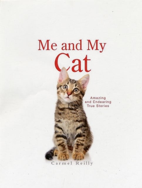 Me And My Cat Paperback English by Carmel Reilly - 41036
