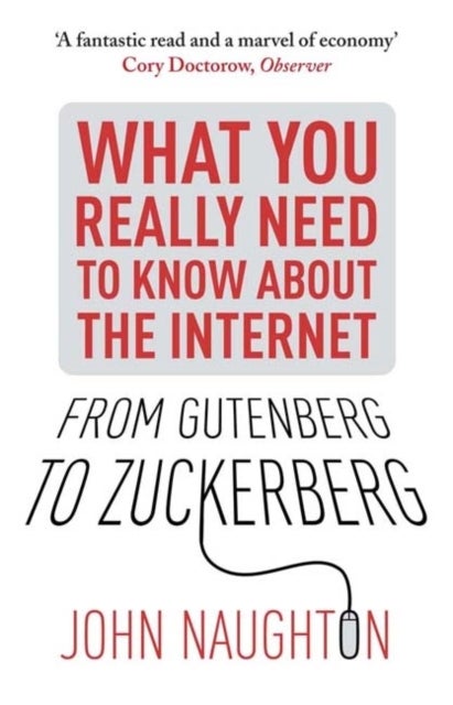What You Really Need To Know About The Internet printed_book_paperback english - 40917 
