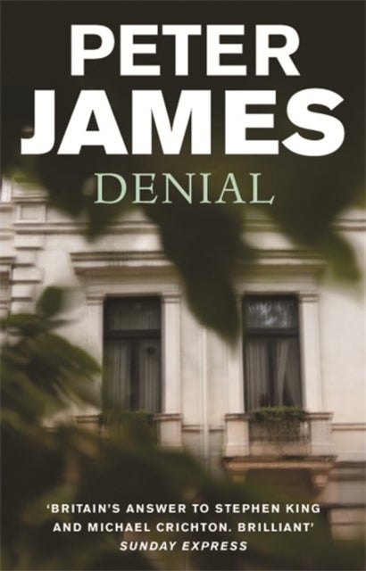 Denial - Paperback English by Peter James - 01/11/1999 