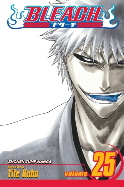 Bleach: V. 25 printed_book_paperback english - 01/12/2008