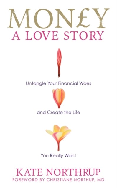 Money A Love Story: Untangle Your Financial Woes And Create The Life You Really Want - Paperback English by Kate Northrup - 10/09/2013 