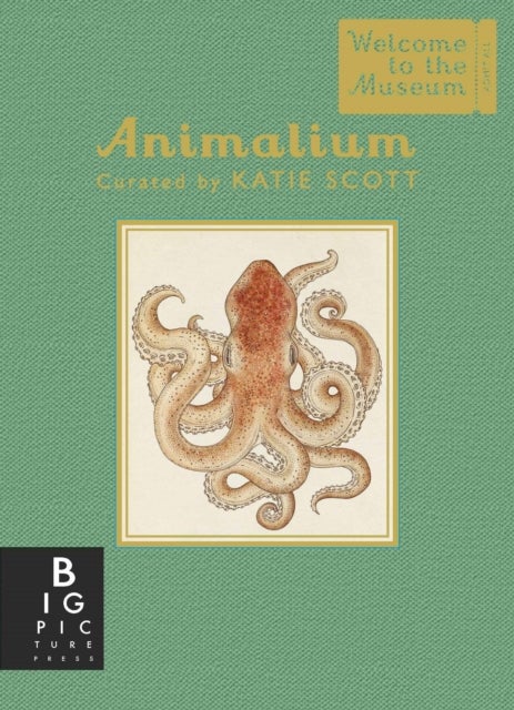 Animalium - Hardcover English by Jenny Broom - 08/09/2016