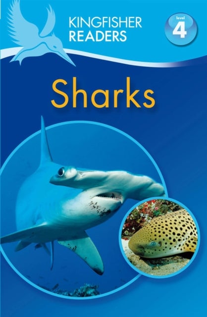 Kingfisher Readers: Sharks Level 4: Reading Alone Paperback English by Anita Ganeri - 41030 
